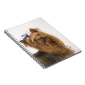 Yorkshire Terrier Notitieboek (Rechterzijde)
