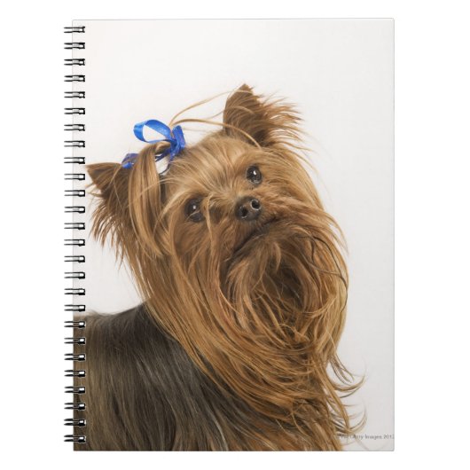 Yorkshire Terrier Notitieboek (Voorkant)