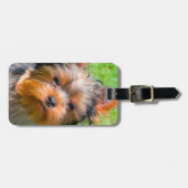 Yorkshire Terrier omhoog kijkend Bagagelabel (Voorkant horizontaal)