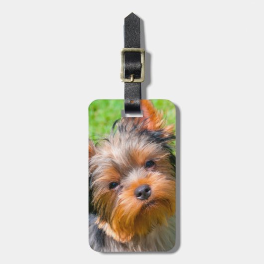 Yorkshire Terrier omhoog kijkend Bagagelabel (Voorkant verticaal)