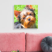 Yorkshire Terrier omhoog kijkend Canvas Afdruk (Insitu (Woonkamer))