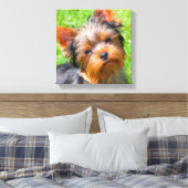 Yorkshire Terrier omhoog kijkend Canvas Afdruk (Insitu (Slaapkamer))