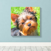 Yorkshire Terrier omhoog kijkend Canvas Afdruk (Insitu (Houten vloer))
