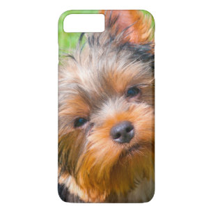 Yorkshire Terrier omhoog kijkend Case-Mate iPhone Case