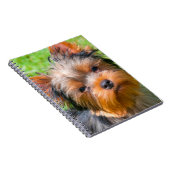 Yorkshire Terrier omhoog kijkend Notitieboek (Rechterzijde)
