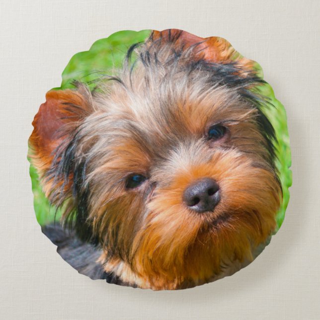 Yorkshire Terrier omhoog kijkend Rond Kussen (Voorkant)