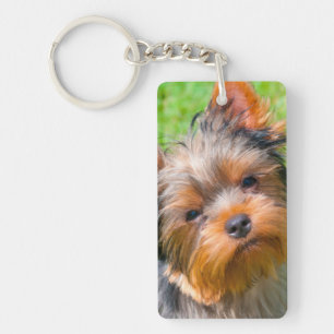 Yorkshire Terrier omhoog kijkend Sleutelhanger