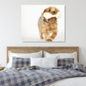 Yorkshire Terrier op witte achtergrond lopend Canvas Afdruk (Insitu (Slaapkamer))