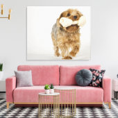 Yorkshire Terrier op witte achtergrond lopend Canvas Afdruk (Insitu (Woonkamer))