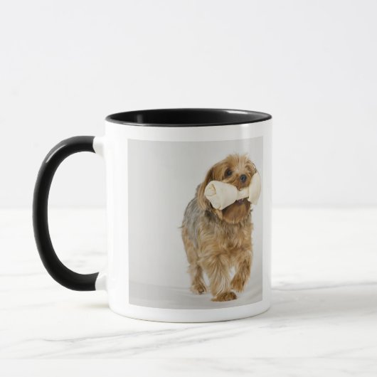 Yorkshire Terrier op witte achtergrond lopend Mok (Links)