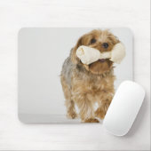 Yorkshire Terrier op witte achtergrond lopend Muismat (Met muis)