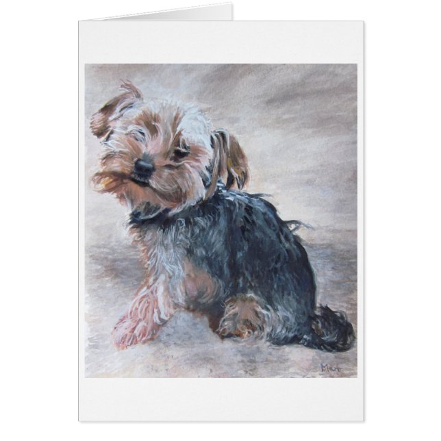 Yorkshire Terrier, Painting (Voorkant)