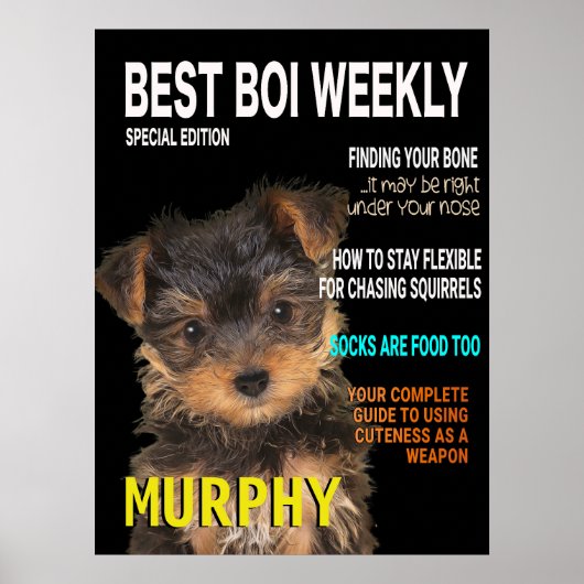 Yorkshire Terrier Parody Magazine Hoesje Poster (Voorkant)
