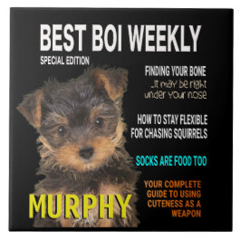 Yorkshire Terrier Parody Magazine Hoesje Tegeltje