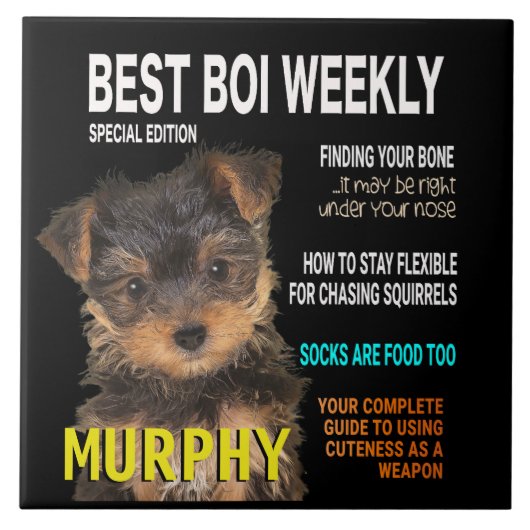 Yorkshire Terrier Parody Magazine Hoesje Tegeltje (Voorkant)