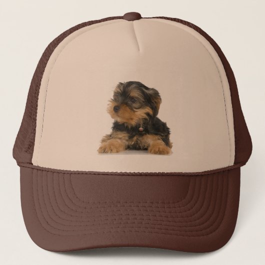 Yorkshire Terrier Pet (Voorkant)
