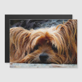Yorkshire Terrier Photo Metallic Card (Voorkant / Achterkant)