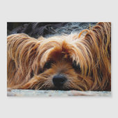 Yorkshire Terrier Photo Metallic Card (Voorkant)
