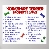 YORKSHIRE TERRIER PL2 POSTER (Voorkant)
