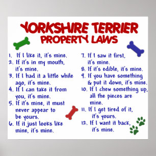 YORKSHIRE TERRIER PL2 POSTER
