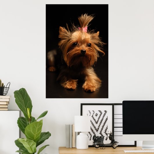 Yorkshire Terrier Portrait Poster (Thuiskantoor)
