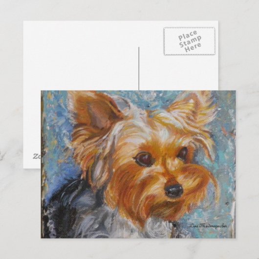 Yorkshire Terrier Post Card Briefkaart (Voorkant / Achterkant)