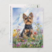 Yorkshire Terrier Postcrossing - Briefkaart (Voorkant / Achterkant)