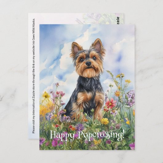 Yorkshire Terrier Postcrossing - Briefkaart (Voorkant / Achterkant)