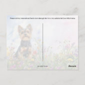 Yorkshire Terrier Postcrossing - Briefkaart (Achterkant)