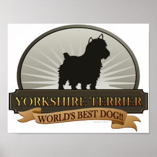 Yorkshire Terrier Poster