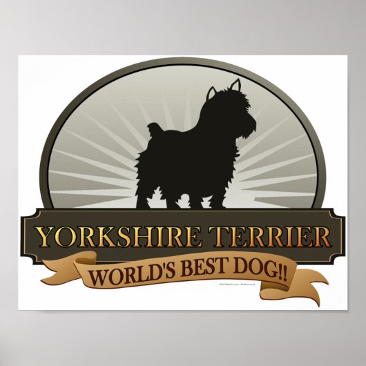 Yorkshire Terrier Poster (Voorkant)