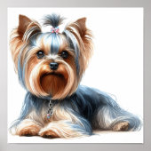 Yorkshire Terrier Poster (Voorkant)
