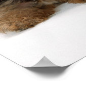 Yorkshire Terrier Poster (Hoek)