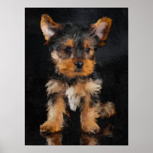 Yorkshire Terrier Poster (Voorkant)