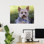 Yorkshire Terrier Poster (Thuiskantoor)