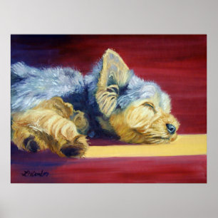 Yorkshire Terrier Poster