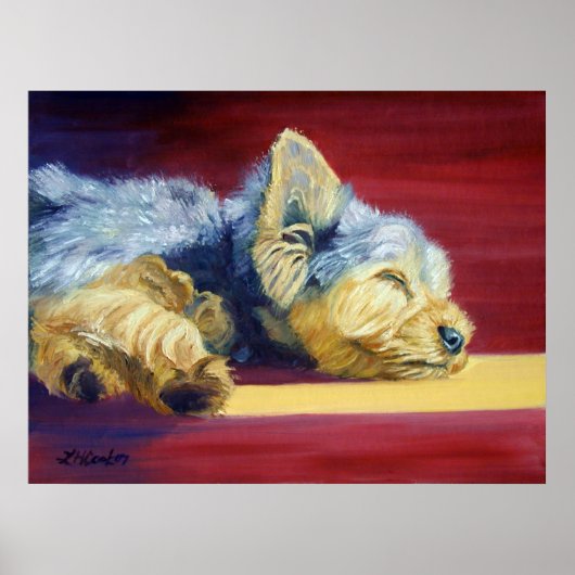 Yorkshire Terrier Poster (Voorkant)
