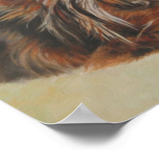 Yorkshire Terrier Poster (Hoek)