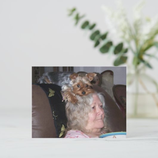 Yorkshire Terrier-postkaart Briefkaart (Staand voorkant)