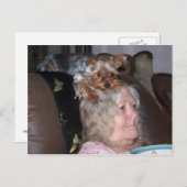 Yorkshire Terrier-postkaart Briefkaart (Voorkant / Achterkant)