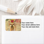 Yorkshire Terrier Prinses Etiket (Insitu)