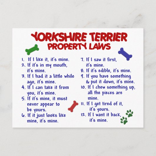 YORKSHIRE TERRIER Property Laws 2 Yorkie Briefkaart (Voorkant)
