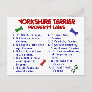 YORKSHIRE TERRIER Property Laws 2 Yorkie Briefkaart