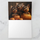 Yorkshire Terrier Pup Autumn Delight Pumpkin  Kaart (Binnen)