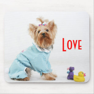 Yorkshire Terrier Puppie Hond Muismatje Muismat