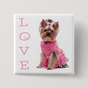 Yorkshire Terrier Puppie Hond Speldje / Knop