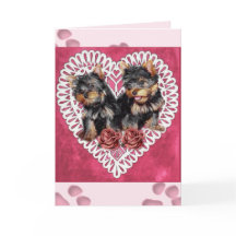 Yorkshire Terrier Puppies Valentijns