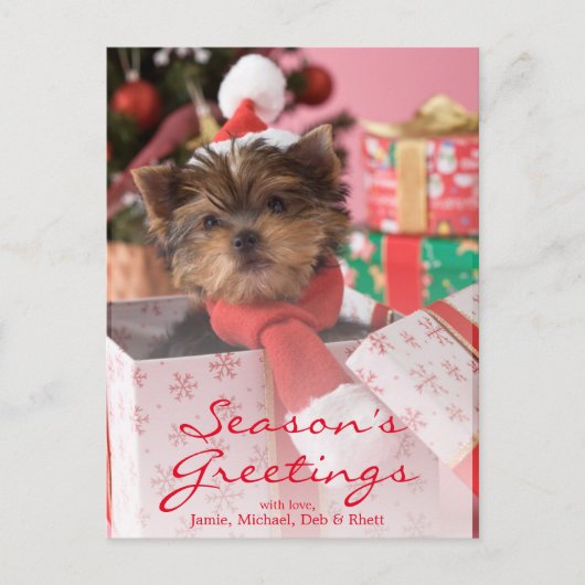 Yorkshire Terrier Puppy and Christmas 2 Feestdagenkaart (Voorkant)