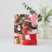 Yorkshire Terrier Puppy and Christmas Feestdagenkaart (Staand voorkant)