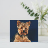 Yorkshire Terrier Puppy Briefkaart (Staand voorkant)